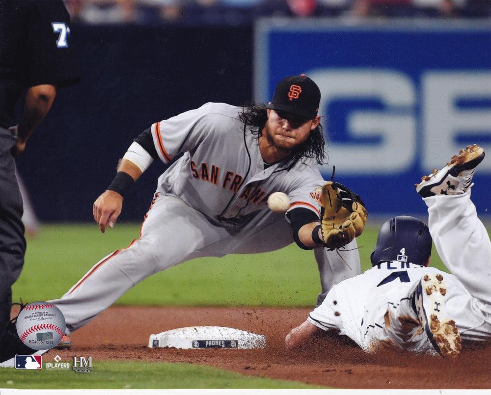 
                
                    Load image into Gallery viewer, Brandon Crawford 8x10 Photos
                
            