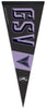 Golden State Valkyries GSV Pennant